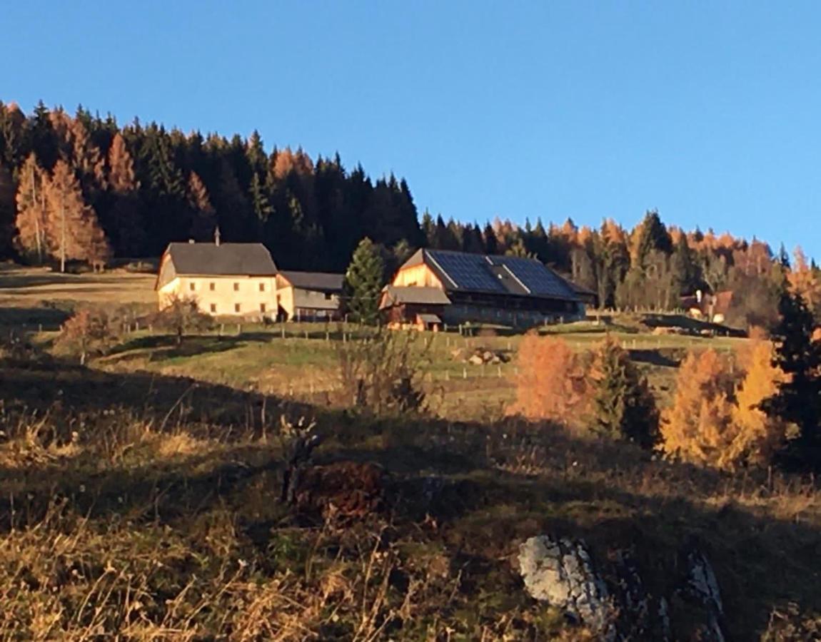 Zum Wohle Aparthotel Oberwoelz Stadt Eksteriør bilde